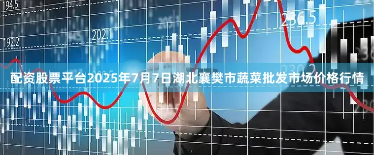 配资股票平台2025年7月7日湖北襄樊市蔬菜批发市场价格行情