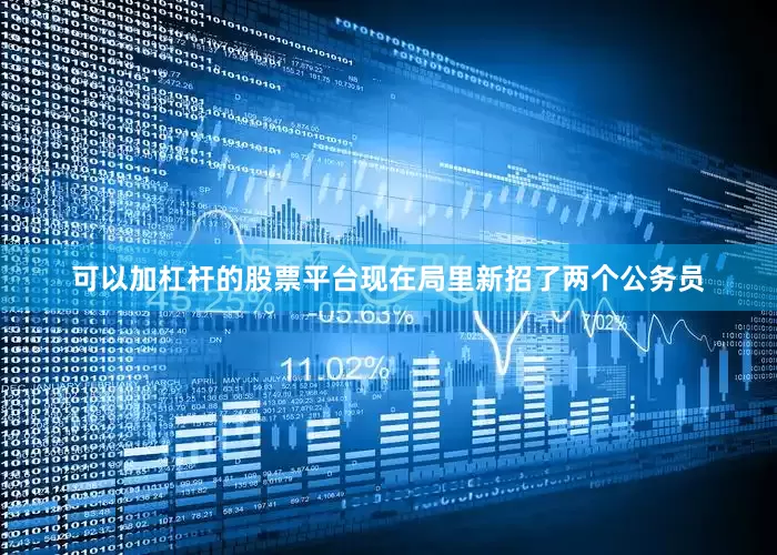 可以加杠杆的股票平台现在局里新招了两个公务员
