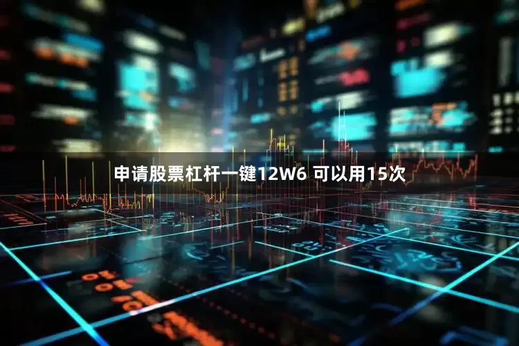 申请股票杠杆一键12W6 可以用15次